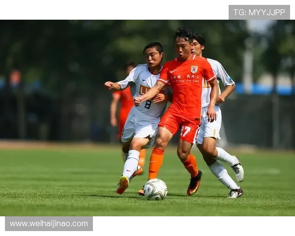 广东宏远重塑辉煌之路全景分析：从青训体系到未来发展战略