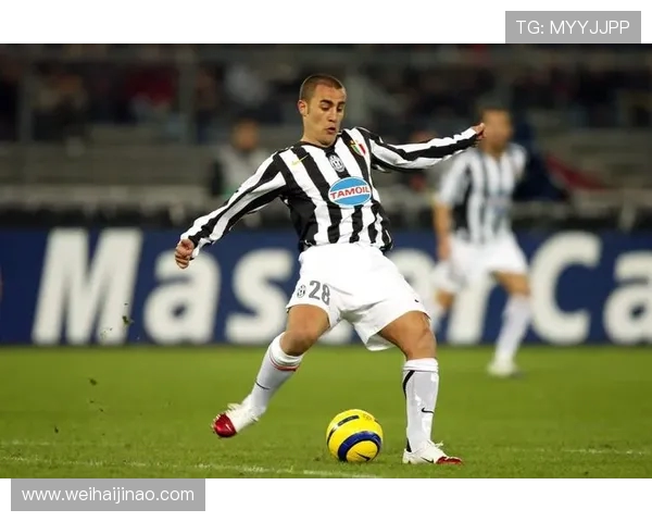 法比奥卡纳瓦罗从铁血后卫到世界足球先生的辉煌传奇之路