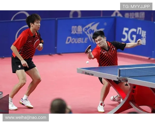 全运会观察：成都排球队在比赛中的战术意识与团队协作分析