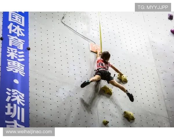 南京攀岩队速度之谜：揭秘攀岩巨献背后的训练与激情