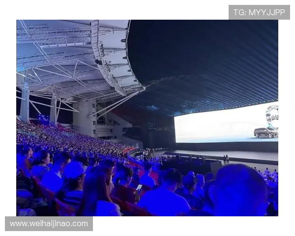 武汉极限运动队团队协作的独特之处与其他队伍的深度对比分析