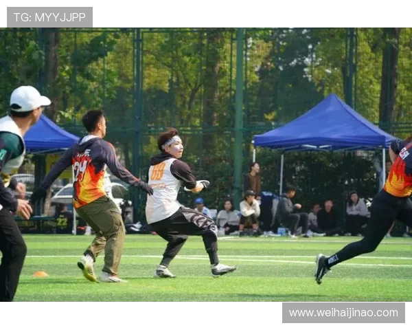 飞盘竞技场上的拼搏与梦想杭州飞盘队的奋斗历程全景回顾