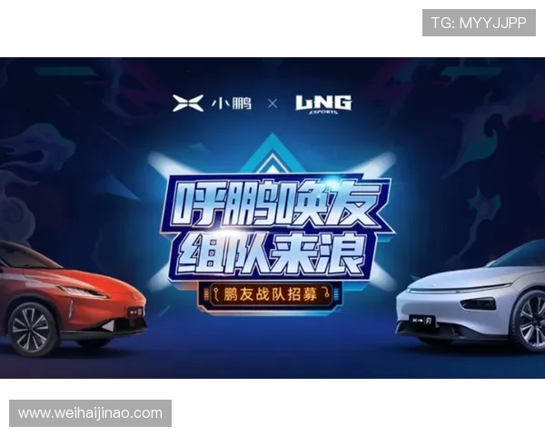 LNG战队展现强大实力 全面分析其战术布局与未来发展趋势