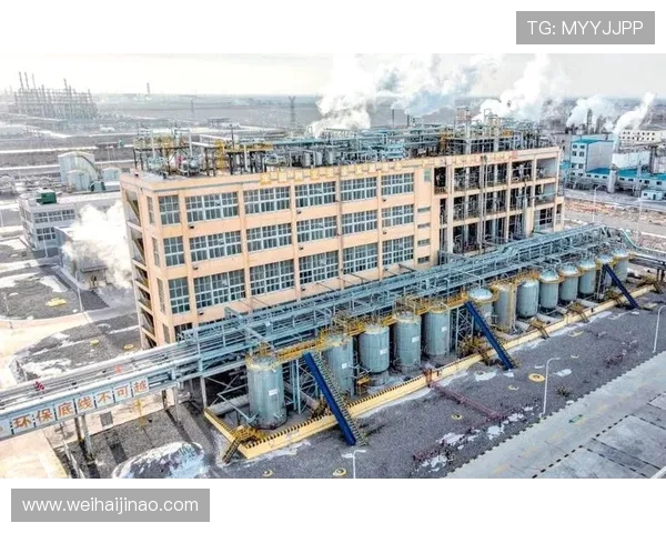 新疆广汇助力区域经济发展 促进多元产业融合与创新驱动转型