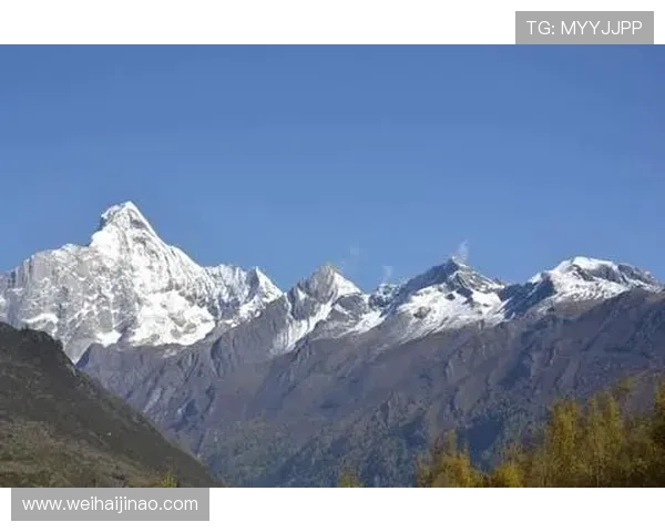 山行山神与东京的对话探寻城市与自然的和谐共生之道 山行山神与东京的对话探寻城市与自然的和谐共生之道